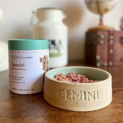 Eco Friendly Food Grade Kraft Paper Plastic Composite Tube Waterproof PET Dog Cat Treats Packaging for Candy Chocolate Snacks